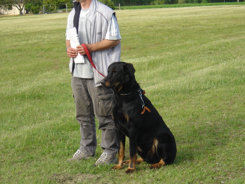 Buddy de ker' bali