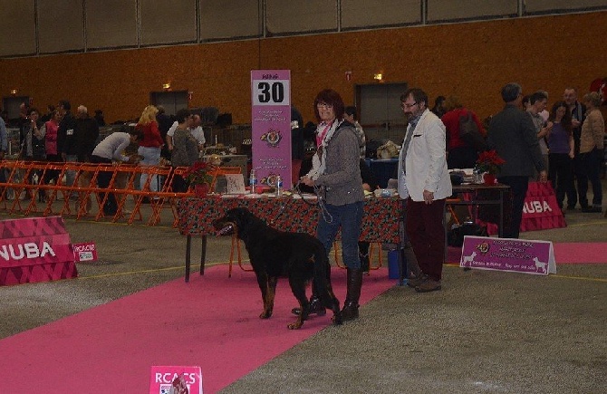 des falaises d'iroise - EXPO NANTES 11 DEC 2016